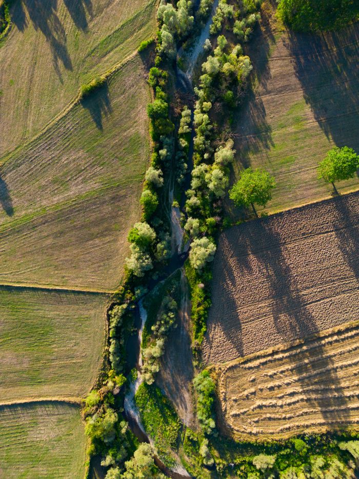 Aerial view showcasing lush green agricultural fields intersected by a meandering river in a vibrant landscape.